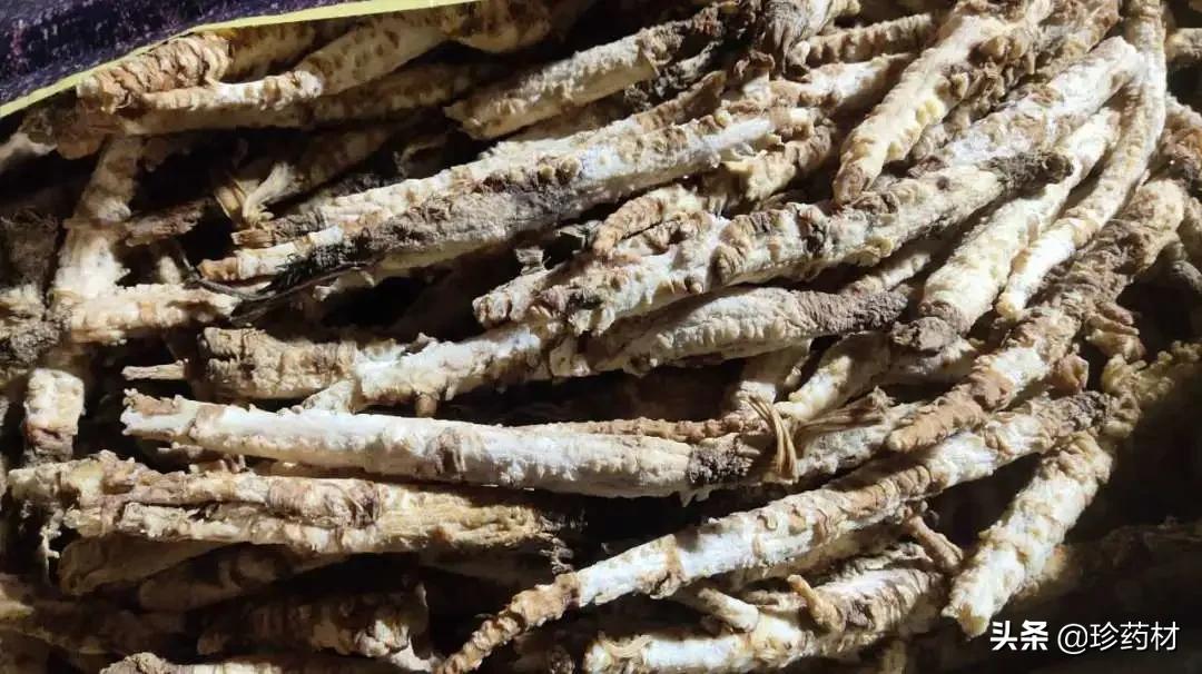 中药材市场快讯：鸡冠花、郁金、生地黄、八角茴香、荆芥穗等