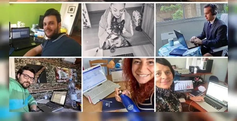 中远海运外国,中远海运服务