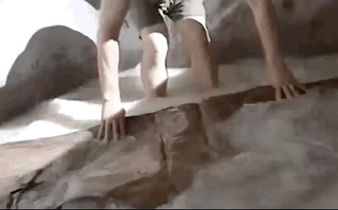 先吐为敬意思,人家对你说先吐为敬