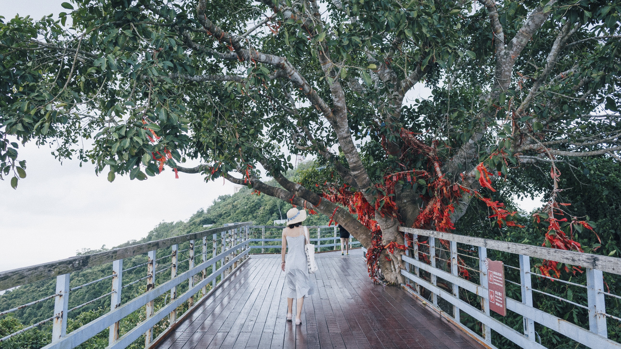 三亚凤凰岭山顶美景,三亚凤凰岭自然风景区攻略视频