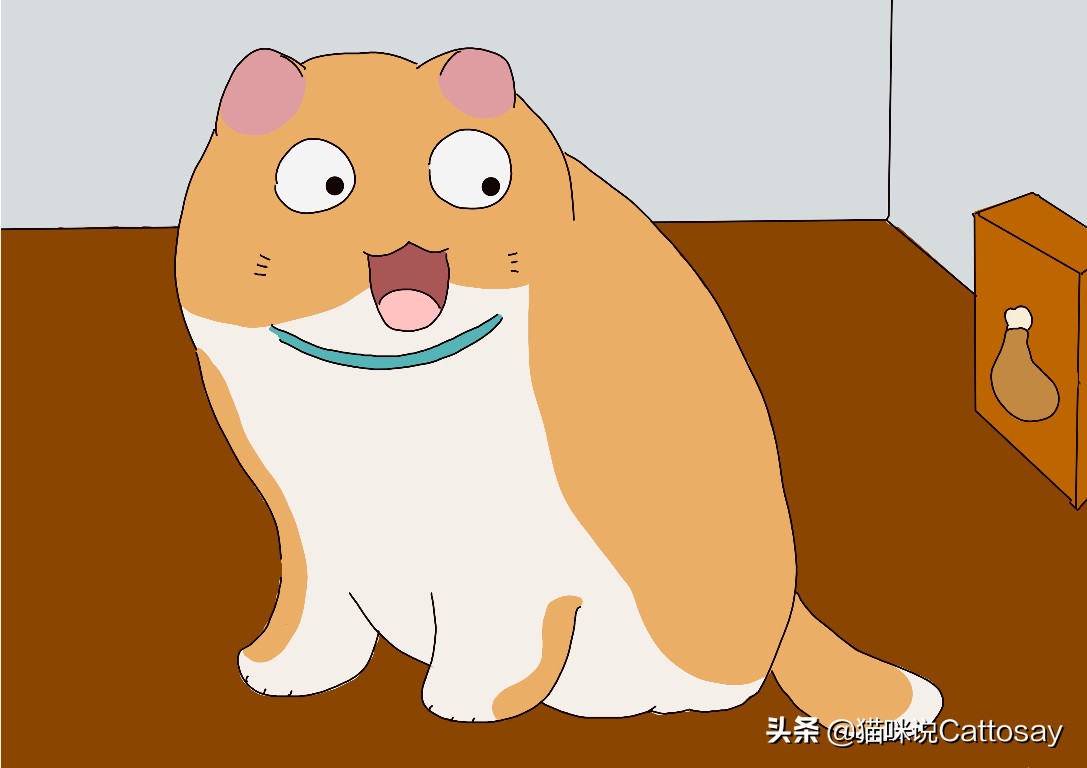 喂猫三种错误方式,三种喂养方式