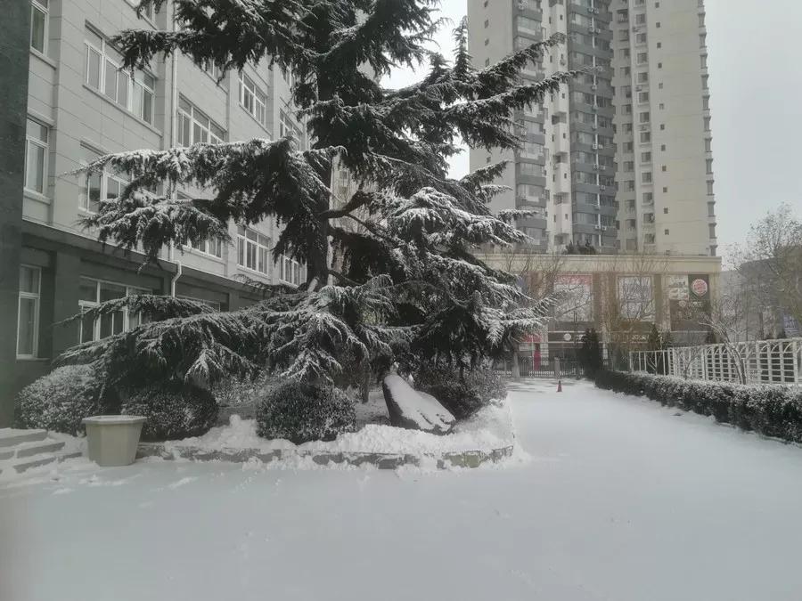 辽宁附属高级中学,辽宁师范大学附属中学2017