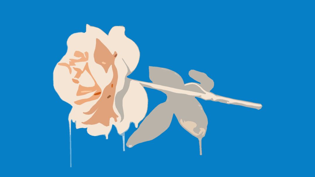 像素不清晰的图片怎么变清晰,如何把图片压缩到100k且清晰