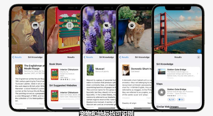 苹果ios15更新后有些软件用不了,苹果ios15.5更新支持哪些机型