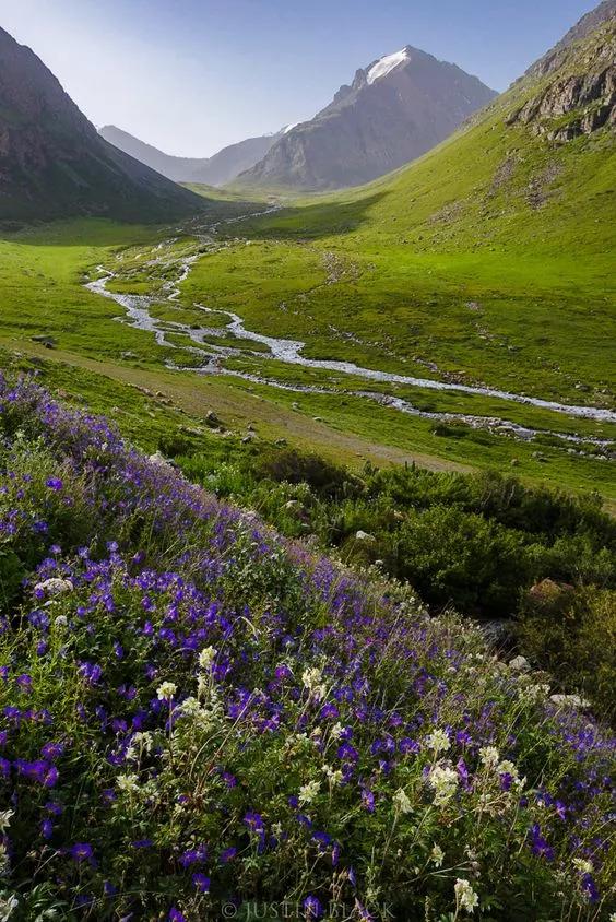 中国至今没被认全的20个邻居，个个身怀宝藏，你知道几个？