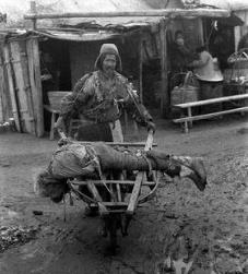 1942河南惨痛的历史悲剧,1942年河南亲历者