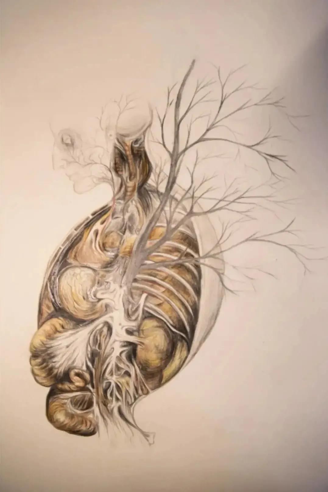 左手丹青，右手手术刀，985名校医学生笔记曝光！网友：这是学神级别的！