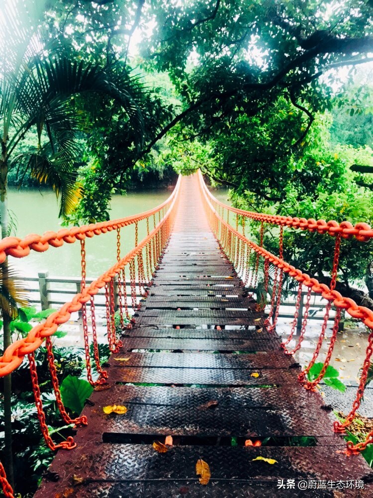 深圳最好的公园东湖公园,深圳东湖公园有哪些风景区