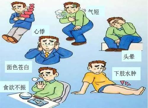 普通贫血和缺铁性贫血如何补血,缺铁性贫血与慢性贫血的鉴别方法