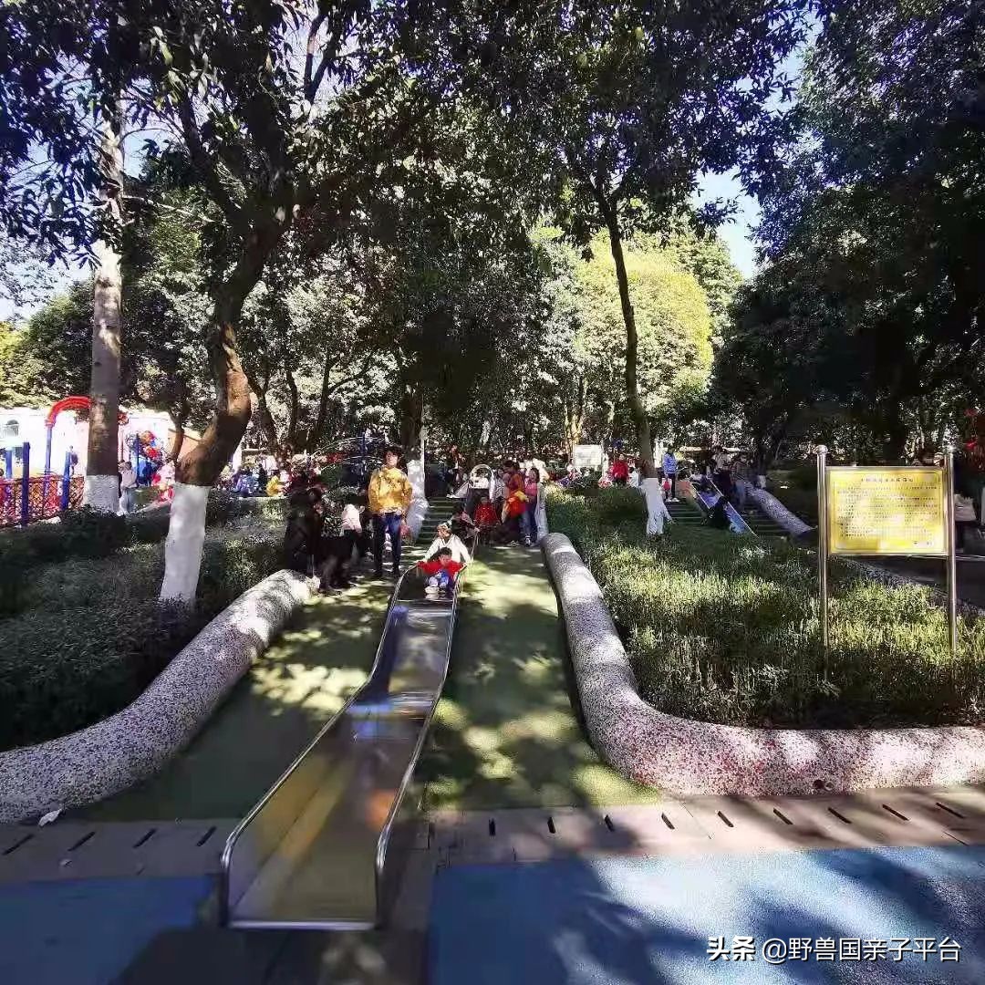 广州遛娃出游,广州遛娃3-4天攻略