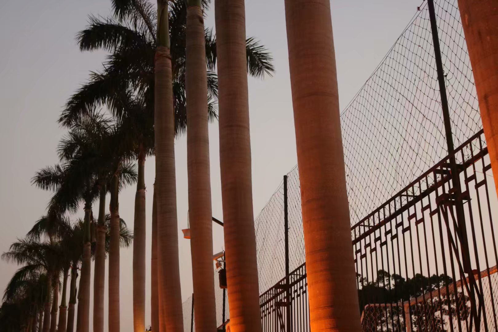 鼓浪屿旅游全攻略,厦门鼓浪屿旅游攻略自由行攻略