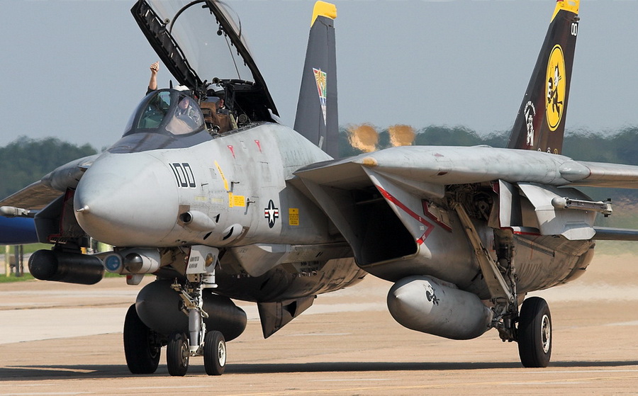 猫咪需要哪些用品,猫迷惑新技能