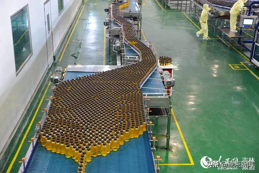 从营商到“赢商”看吉林松原如何演绎投资跨越山海关