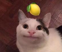 许光汉宋威龙视频通话模板,宋茜谭松韵任嘉伦李现千玺