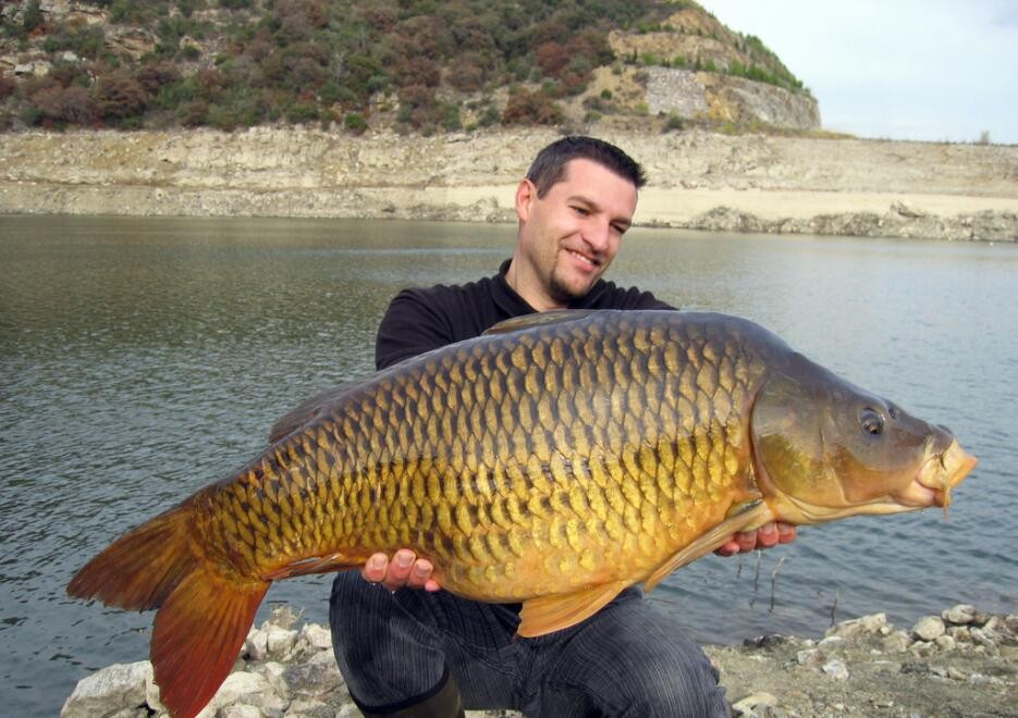 东北小鱼是物种入侵的元凶?占领欧洲32国,几乎没有解决办法