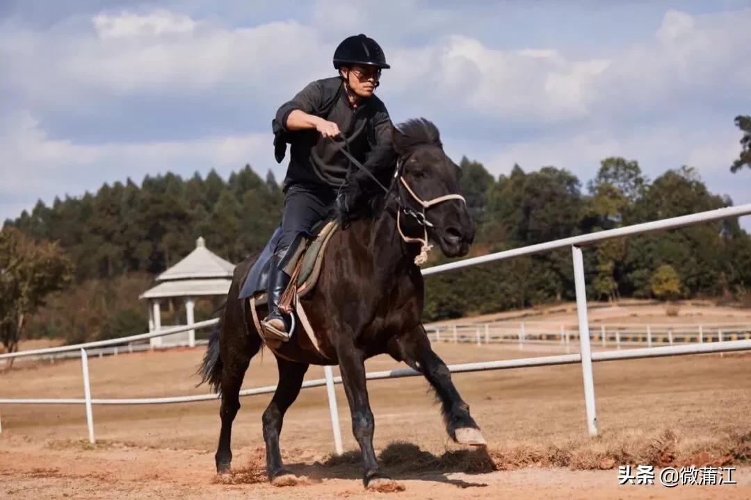 石象湖优惠,石象湖景区3月8号门票优惠吗