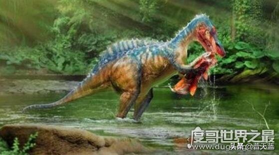 凶猛龙与恐龙大战,好凶猛的恐龙视频