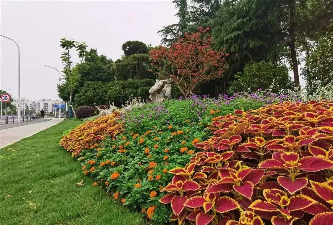 无锡即将发展的城市,无锡是正在崛起的城市吗