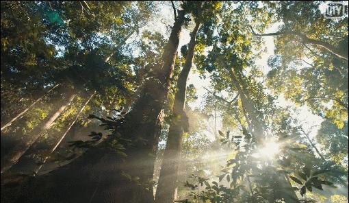 景甜戏里走路摇曳生姿 (景甜司藤旗袍造型合集)