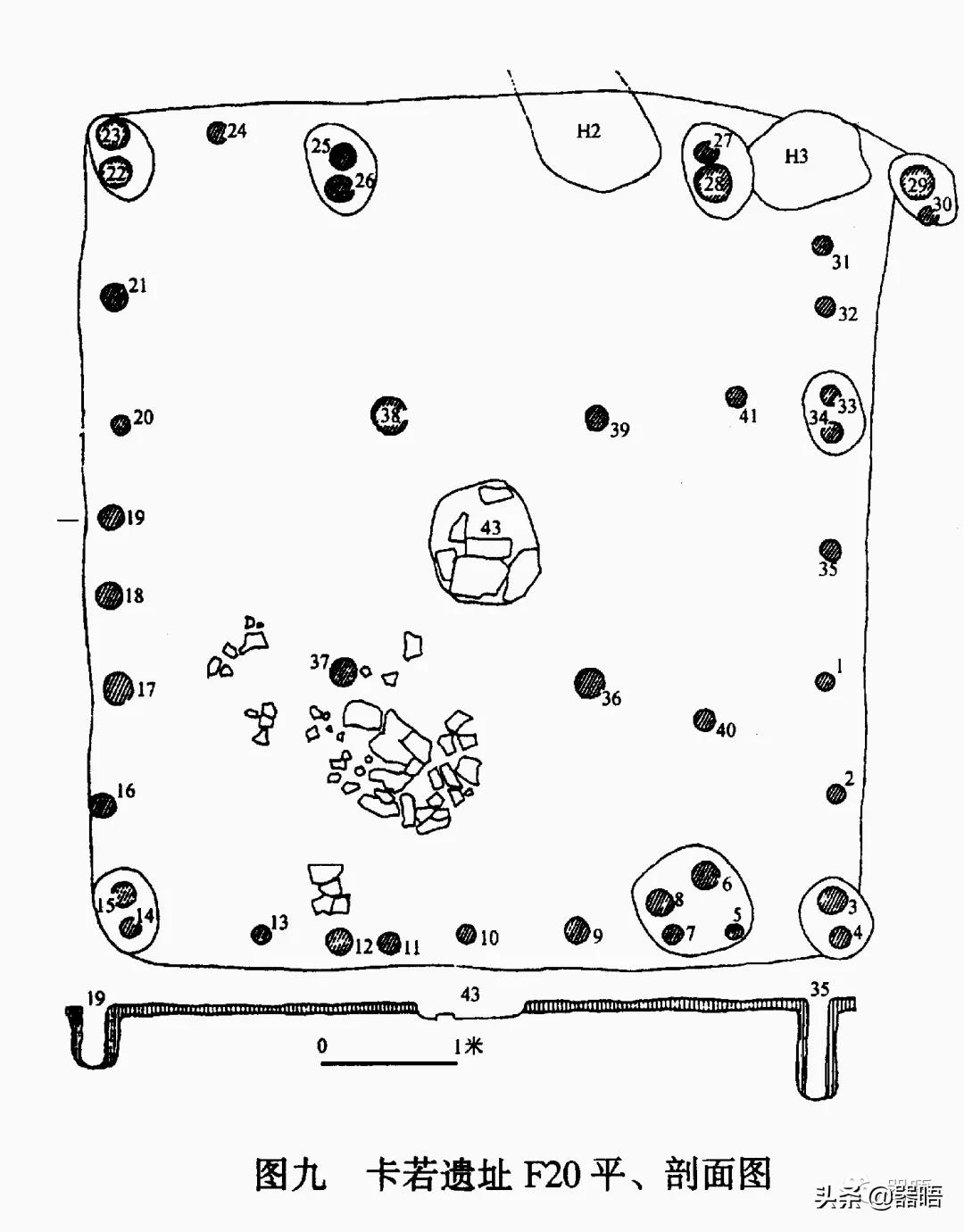 在西藏发现的史前生物,西藏的古人类