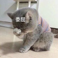 父母吵架了如何有效沟通,经常吵架怎么沟通