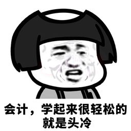 财务报销了虚假发票如何发现,个人报销发票是假的被发现了后果