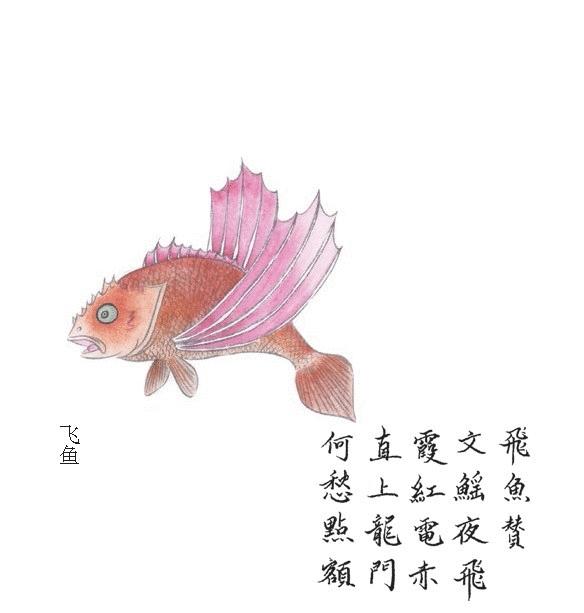 故宫烧脑奇书,故宫恐怖小说