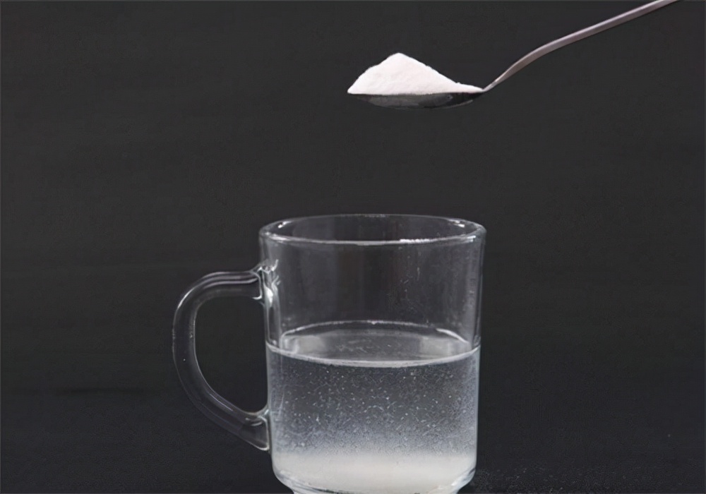 新手养幼犬需要注意哪些,幼犬拉稀禁食怎么看它好了