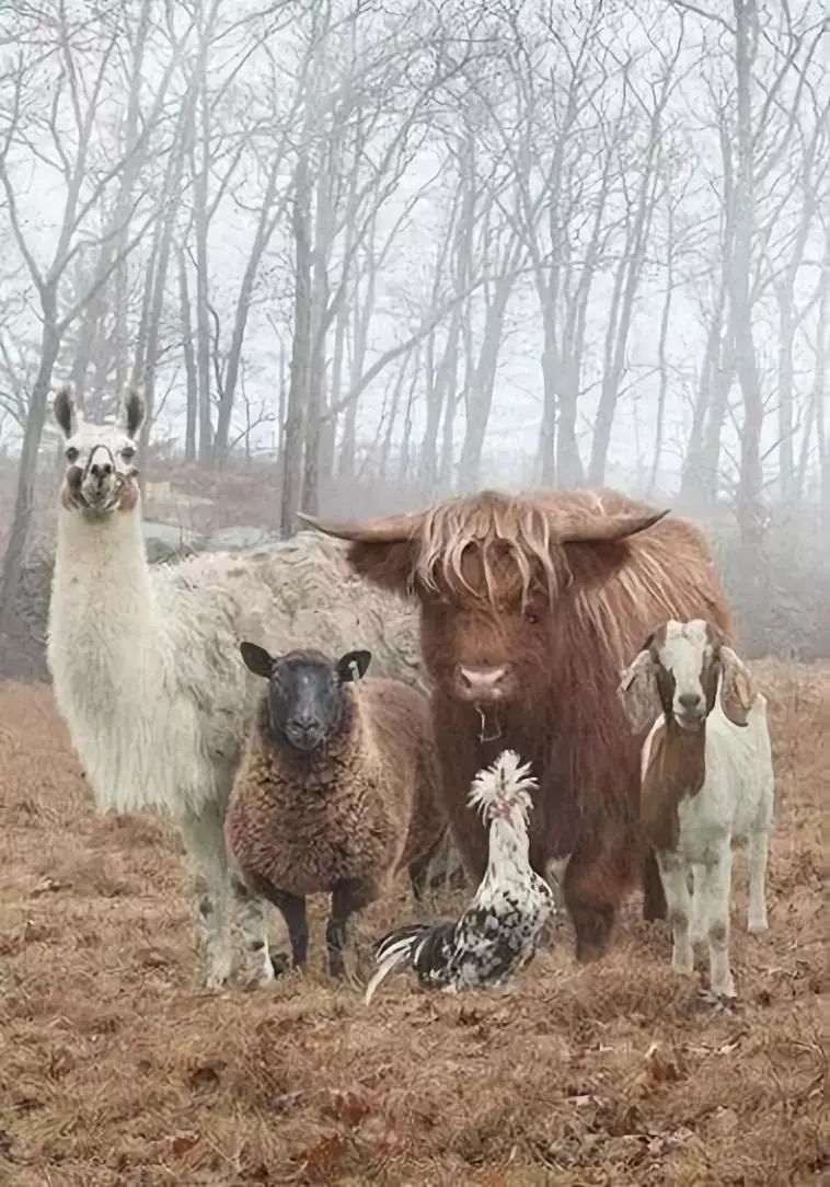 发现被别人偷拍照片,偷拍别人的照片是否违法