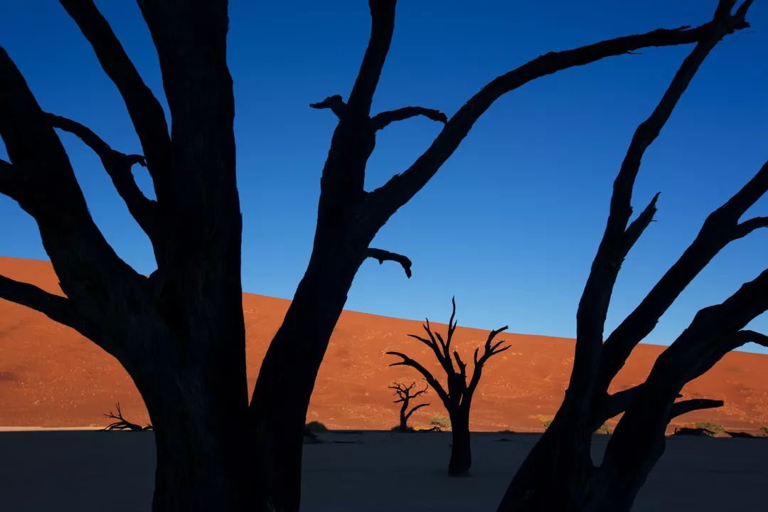 姜平摄影讲座——给你阐述自然摄影的“光彩大地”