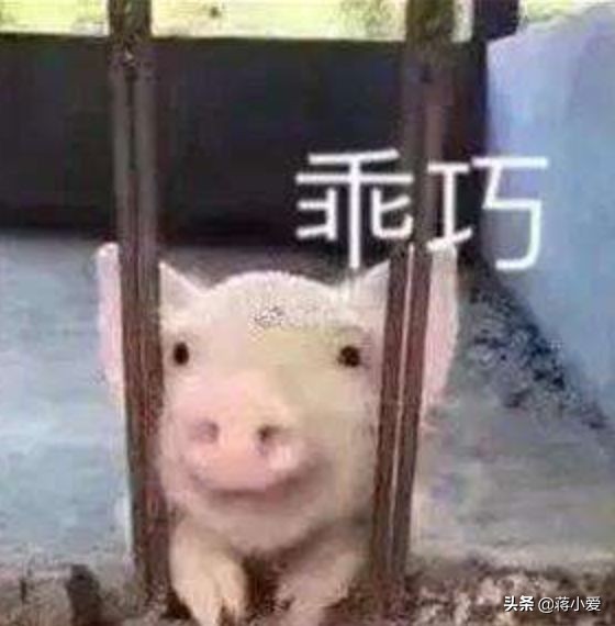 当飞机餐来的时候