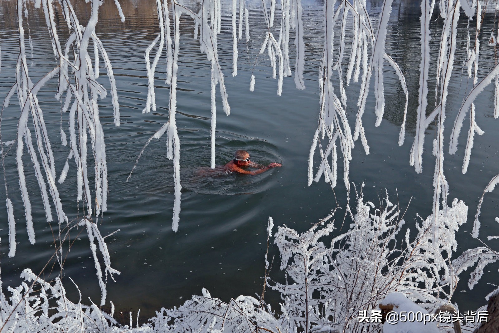 运动会摄影比赛作品介绍,运动赛事拍照相机