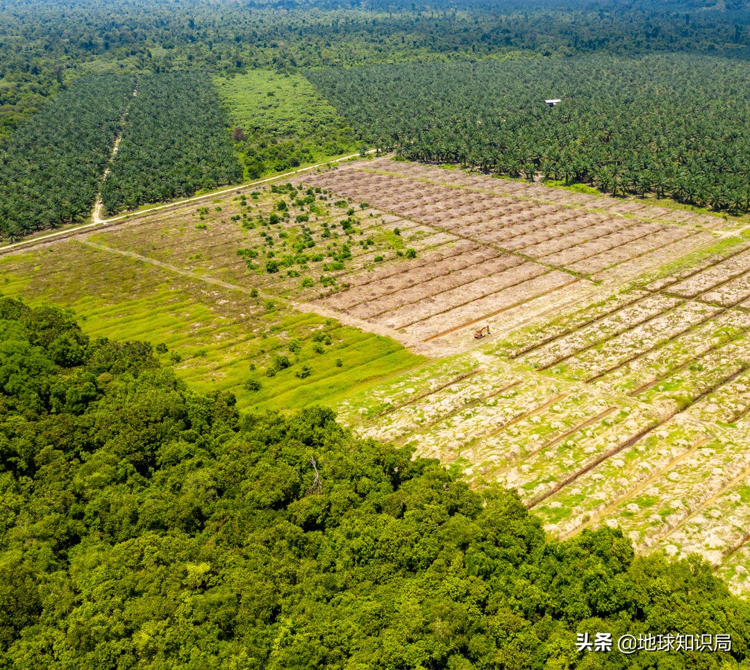 印尼现状相当于中国的什么阶段,印尼靠什么发电
