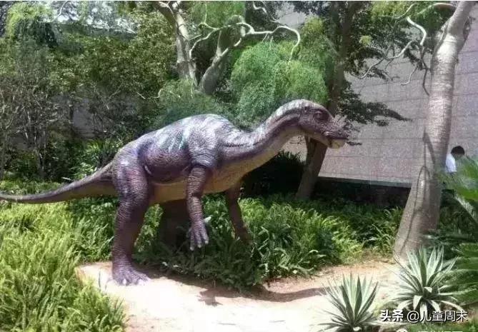 不远也好玩的地方,深圳儿童周末去哪玩推荐