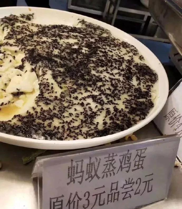 上了大学就自由了？这才是真实的大学生活......