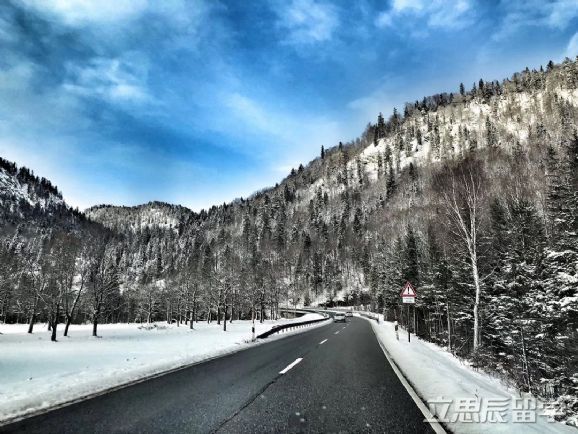 德国埃尔朗根-纽伦堡大学是一所怎样的大学？