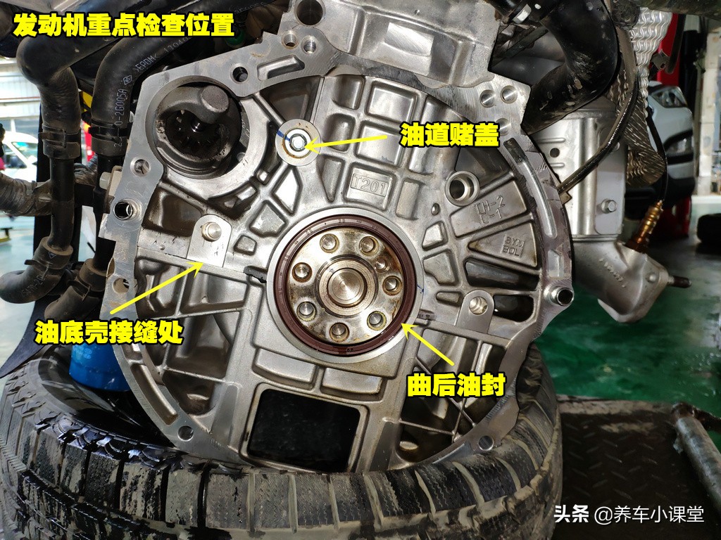 为啥机油漏油很难解决,曲轴后油封漏油与机油有关系吗