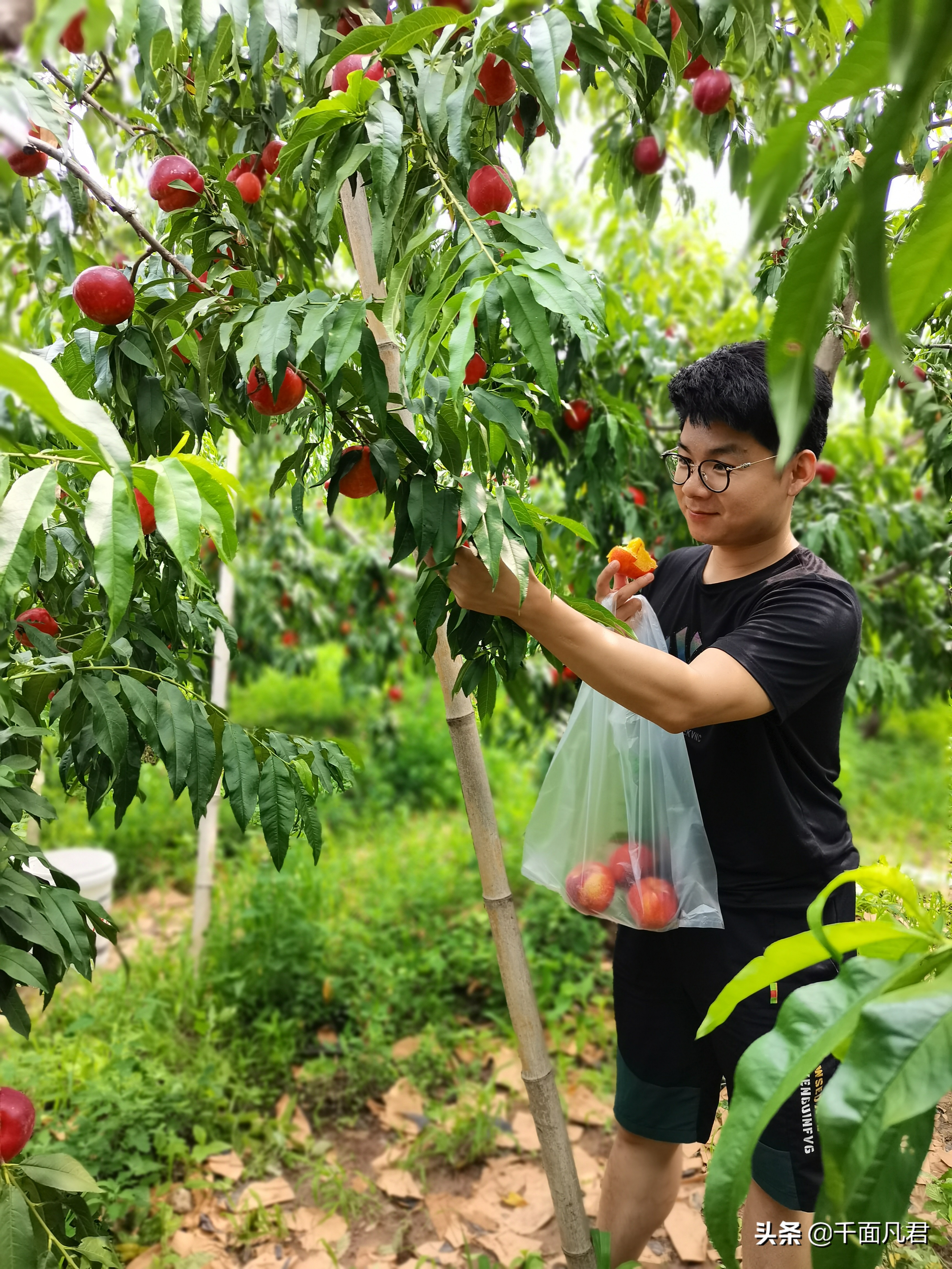 我，29岁，北漂5年，没户口买不起房，也不敢回老家，怕别人笑我