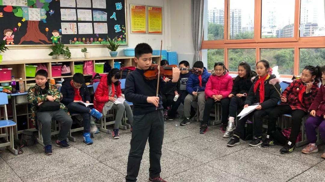 重庆五朵金花小学分别在哪些区,重庆小学5朵金花