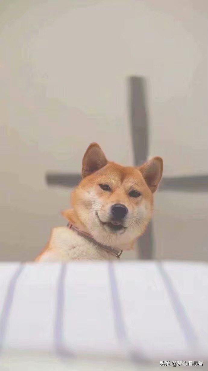 微信说给最爱的人的暖心话,情侣话最暖心短句微信