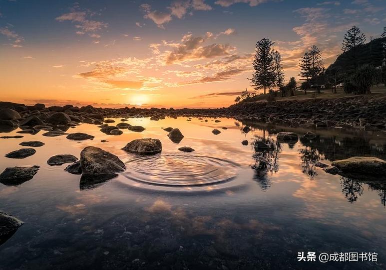 成图4月品牌活动到!快来赴一场*光春**之约