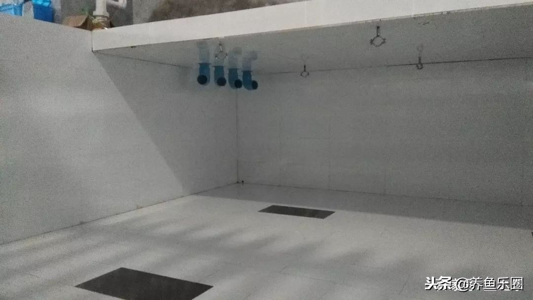 这位土豪家的渔场，光滤材就花了500多万，你确定不要见识一下？