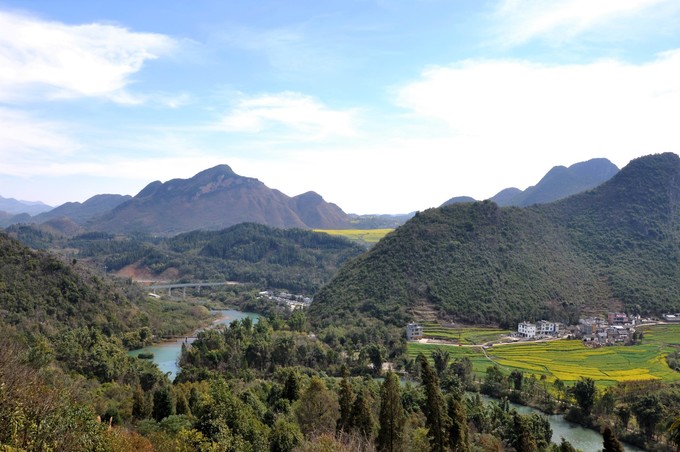 走进春天走进桃花盛开的地方,云南罗平金色花海之旅