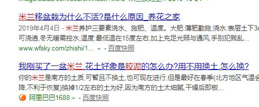 米兰的胶泥土怎么换,米兰盆栽土质坚硬如何改良