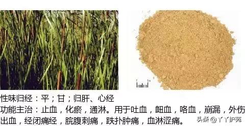 农村身边的中草药主治与功效,中草药全图谱与功效