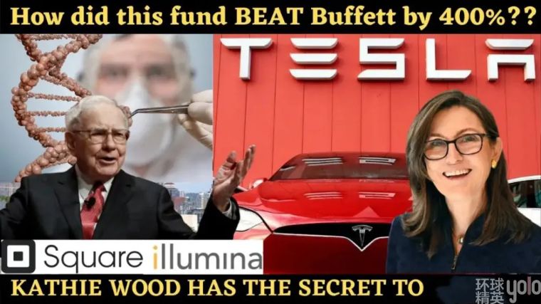 凯瑟琳巴菲特视频,女版巴菲特投资项目