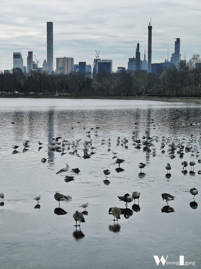 现实版未来之城纽约中央公园,纽约中央公园和北京奥体森林公园