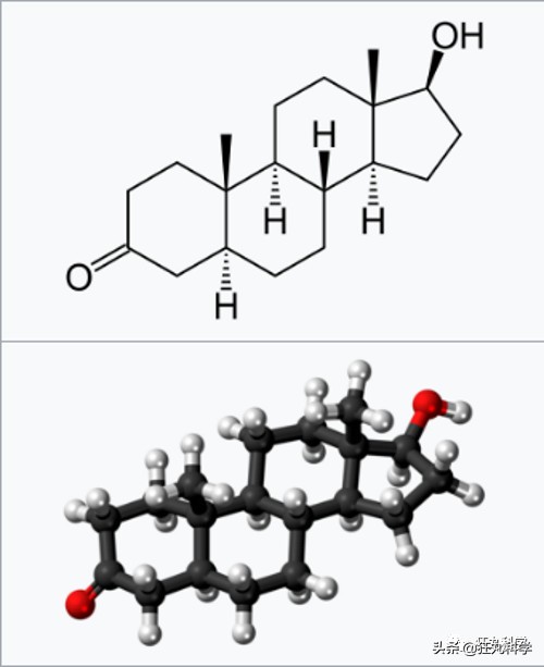 研究秃头30年后，日本老教授用复读机的方式解答脱发问题