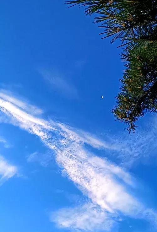 采一片天竺山的云朵别在发梢，带你感受云中漫步的奇妙幻境