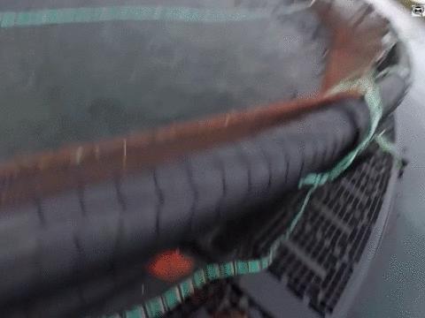 “最毒僵尸鱼”,外媒曝挪威三文鱼养殖乱象,看完胃不好了